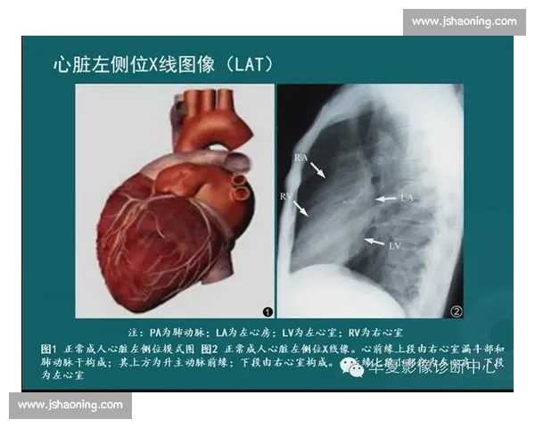 博维复出之路：海外联赛成唯一希望，心脏监测需常态化